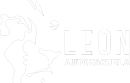 Autoescuela Leon, tu Autoescuela en Guadix